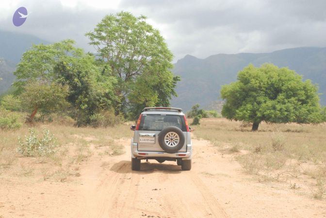 20080729 Photo 1209 1DksZ4N0Ddw3S 4FDOvYQfkBKcBjN6u2f.JPG