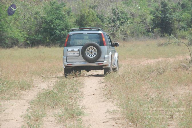 20080729 Photo 1228 1HtTlCKHj9Gui8Jjh~cKQqQ2AagFKyj .JPG