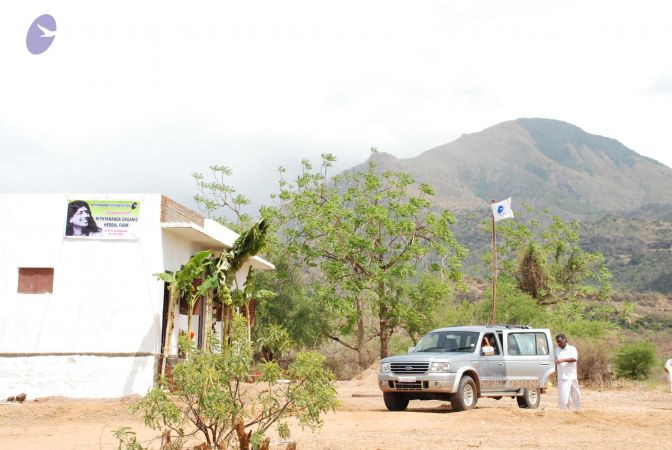 20080729 Photo 1284 1PdFgjpMXV4yXiSmwbwxb7p-xABgbrpRZ.JPG