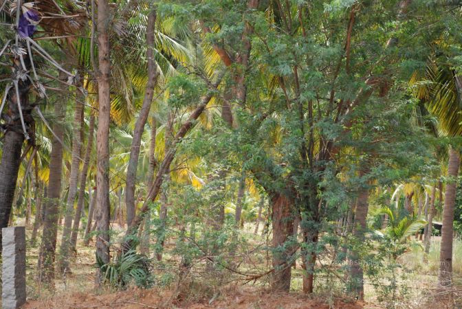 20080729 Photo 1294 14ZTYqL75XHiStAo-M-eTiEiEWzenD1DA.JPG