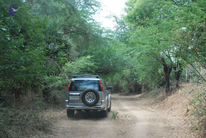 20080729 Photo 1307 1Ksdozr7Nv-ybe61AKPWQWh8Cjn5iA54D.JPG