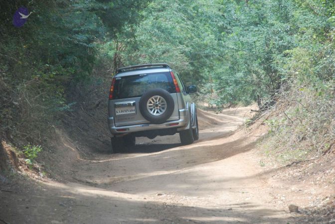 20080729 Photo 1333 150ZffomE1uR43FovmogmgBjOzOfpynNj.JPG