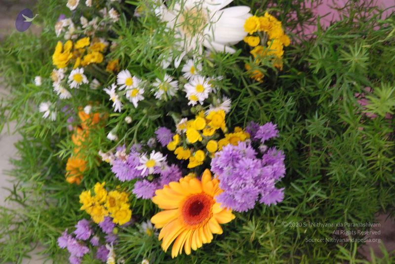 File:20080729 Photo 1523 1bHsu nfvLXqiD-c86n9dHPOsiDf-Y9Ww.JPG