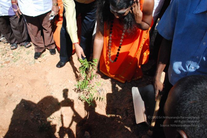 20080801 Photo 1155 14J7levO6K8zSdE ewNep-0ZFV7WXqYu1.JPG