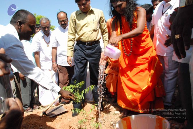 20080801 Photo 1174 1EmuGjOC9xqBz7RctP8BjNw ZBxZOzkI1.JPG