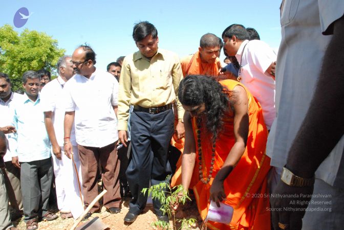 20080801 Photo 1181 1CscOrG4NBoTbQcHQKpClDOeXcg2ML96w.JPG