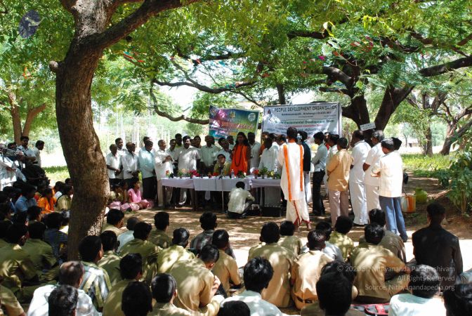 20080801 Photo 1300 1YJUb465rx16WdK874z2E2wrvEf2miwE2.JPG