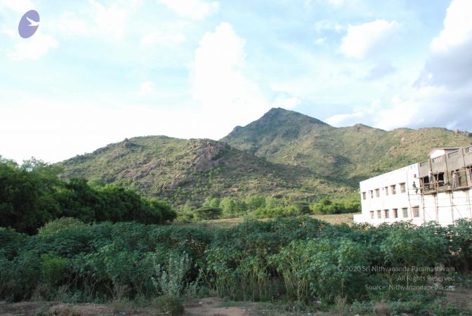 20080801 Photo 2179 14-2QkjqWllBzUt0i-obuMigP-5N25VIV.JPG