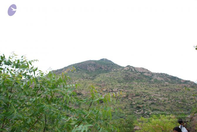 20080802 Photo 1264 1rXeyuE9trsEjVJMjlPXqpEGs3PGRJLob.JPG