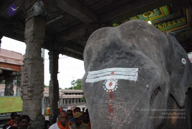 20080802 Photo 1866 1yaE0P69D0dPj KUBgpd7E4-riT7A3LHM.JPG