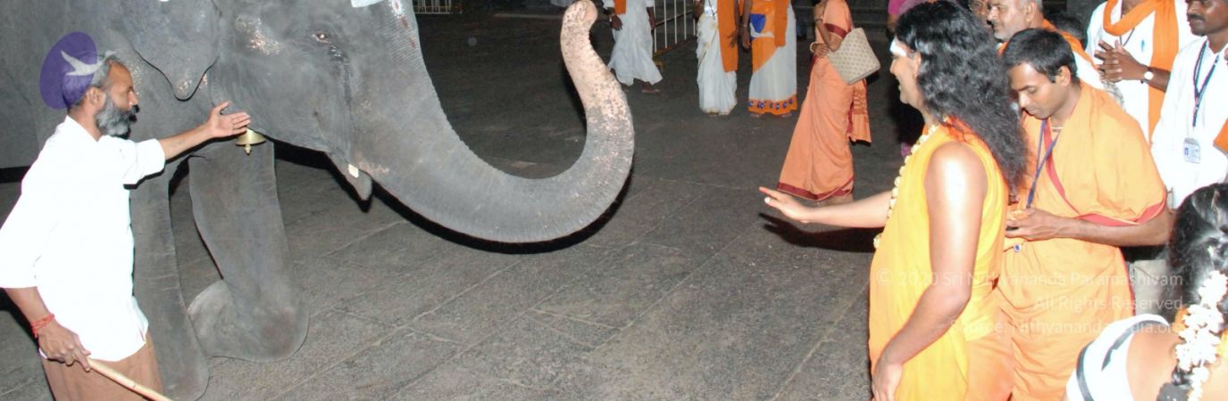 20080802 Photo 2155 1F 9O A9jHdy2N1BLcQavIDQze93fAxz0.JPG