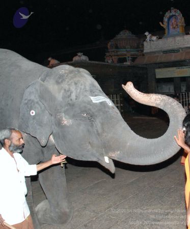 20080802 Photo 2156 1DjW2Q98J5VHmo7F29v7vOf7cOmuICBJ0.JPG