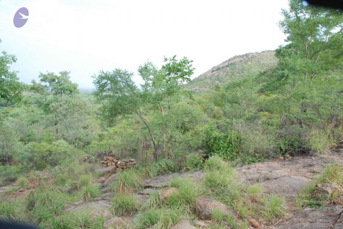 20080803 Photo 1082 1gqbmIlB6HzwDTVXtiT9m7QbGdK80DCix.JPG