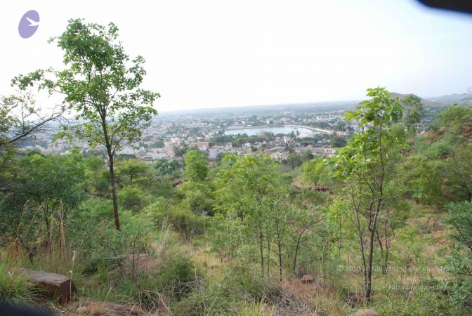 20080803 Photo 1091 1Ofvg40MooBxszvPzpW6y4BABxFJUhmW .JPG