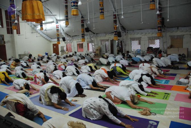 20080827 Photo 1140 1E IpRDwBgviRZqeEFAzp53PCmWTYJt6C.JPG