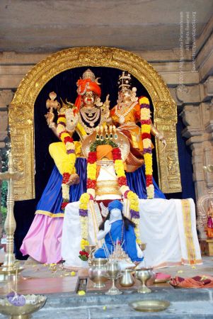 20080930DSC 0346 CMP WM00100.jpg