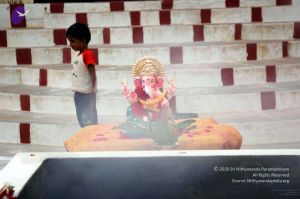 20081001DSC 9423 CMP WM00100.jpg