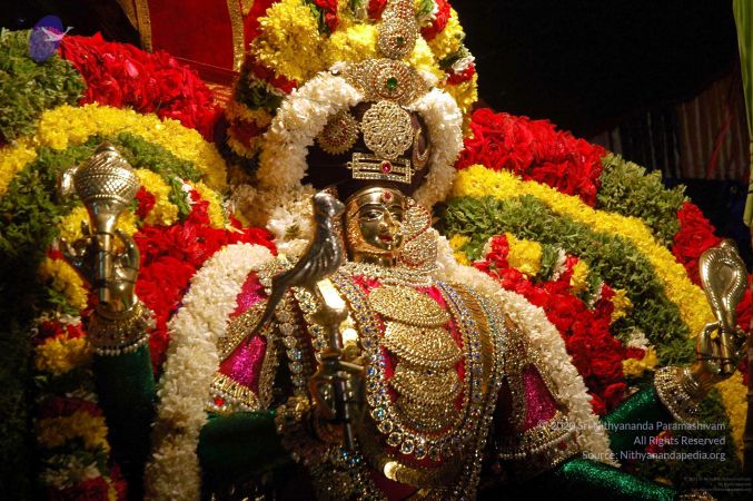 20081001DSC 9508 CMP WM00100.jpg