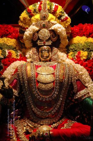 20081001DSC 9583 CMP WM00100.jpg