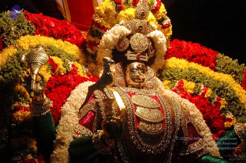 File:20081001DSC 9588 CMP WM00100.jpg