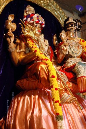 20081002DSC 9657 CMP WM00100.jpg