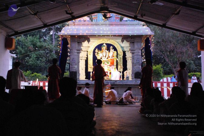 20081003DSC 0100 CMP WM00100.jpg