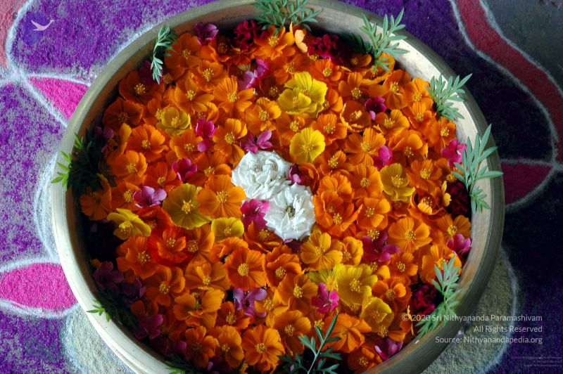 File:20081004DSC 9730 CMP WM00100.jpg