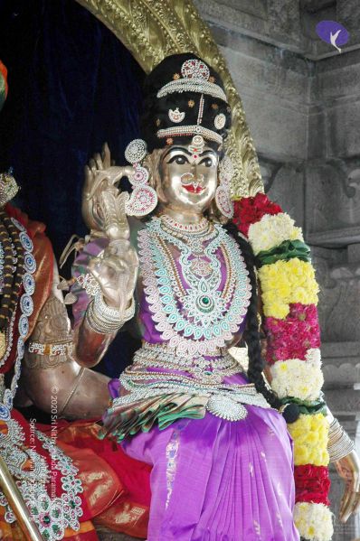 File:20081004DSC 9753 CMP WM00100.jpg