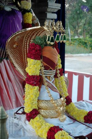 20081004DSC 9764 CMP WM00100.jpg