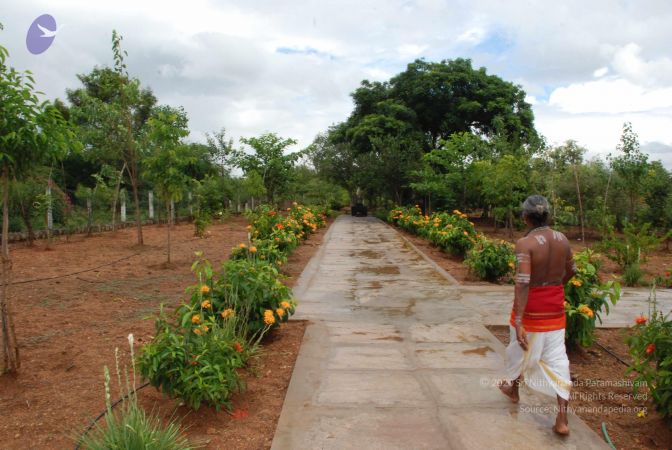 20081015 Photo 1184 1s9ICtfke650Zh93ld7oV2gwWzdl1METj.JPG