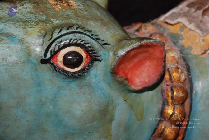 20081015 Photo 1600 1QHaFLfsV5xccv8und8uxAabEnpI46Vq .JPG