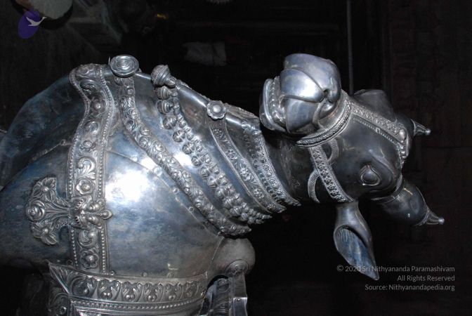 20081015 Photo 1631 18JtjL6D1fpi12cJSF2mVSU3GTdLv9C0F.JPG