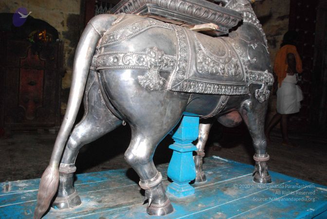 20081015 Photo 1640 1vZGUzVpSczVKgM0XoEYMndgNxF506qlN.JPG