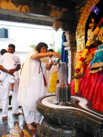 20081019 IMG 0046 CMP WM 00.jpg