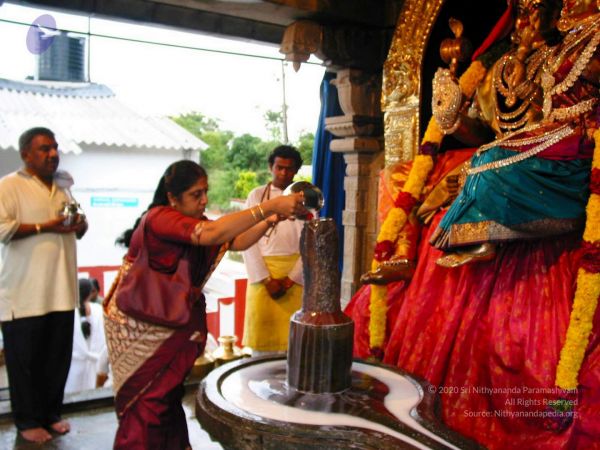 20081019 IMG 0088 CMP WM 00.jpg