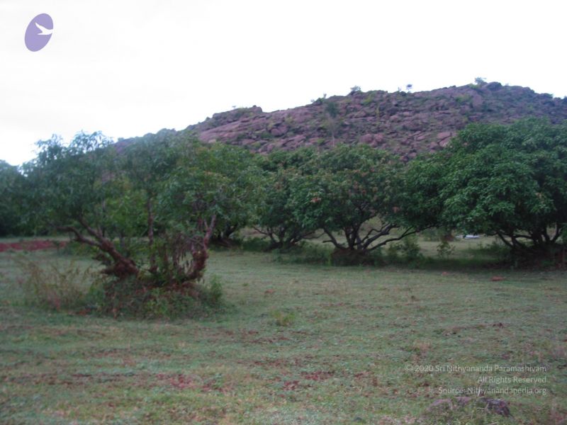 File:20081019 Photo 1017 12L 6cPwjblUPjPsrlQOXaoqyK4Jg719z.JPG