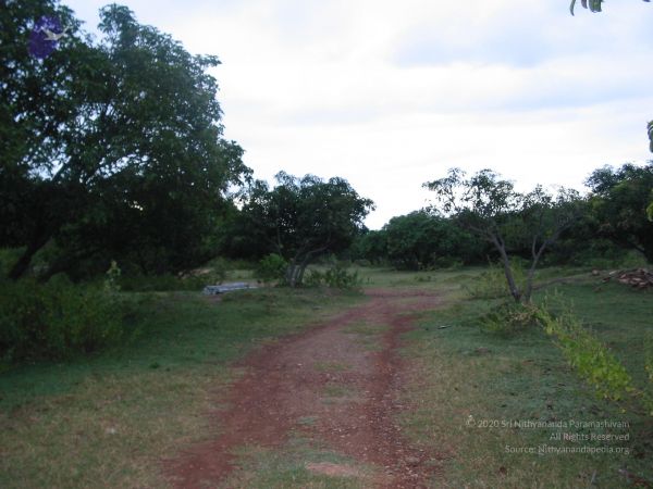 20081019 Photo 1018 1qo9t8lFgtdqsDMnxqBQSmXskXYDMHc8a.JPG