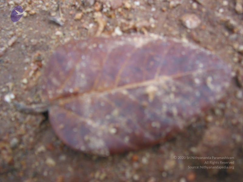 File:20081019 Photo 1019 1Pkcrm1yM7V-IjKQvb6C-g-6PKLpezu6w.JPG