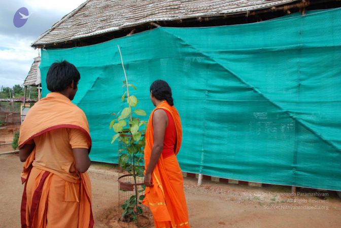 20081019 Photo 1104 1t9isJxY 6CNgeOJVL44I93fvh37Kb77r.JPG