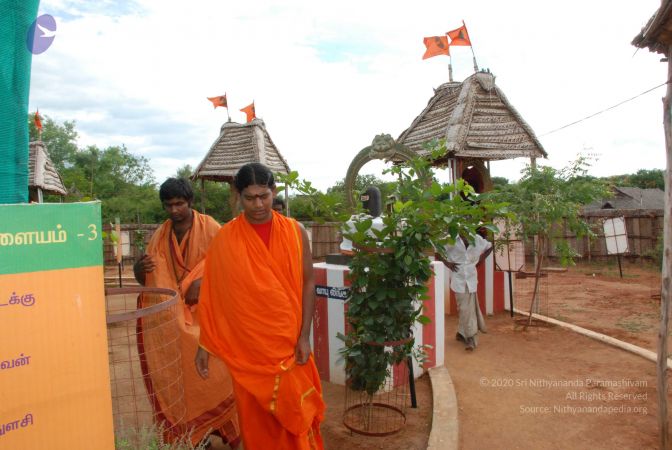 20081019 Photo 1106 1Fr-PuSS5jq8nDMykvinTX0T 3FNbsj0E.JPG