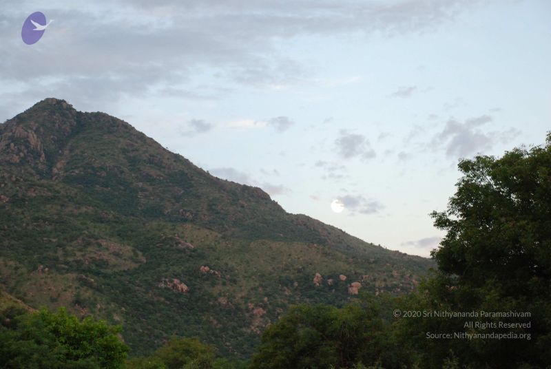File:20081019 Photo 1116 1n5OEStszut4BNt9wkTliuMffRUBAho8D.JPG