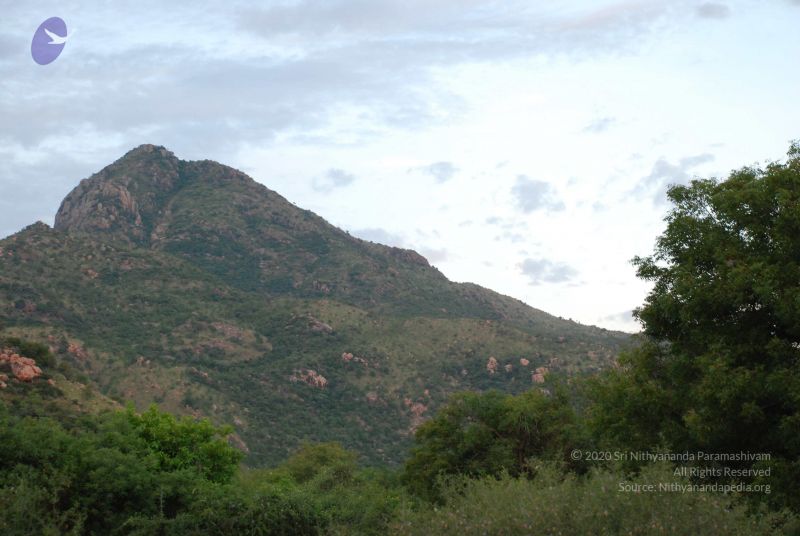 File:20081019 Photo 1117 1fvolf EW-CO8HcrMWkr9vFZbnhQcdVuL.JPG