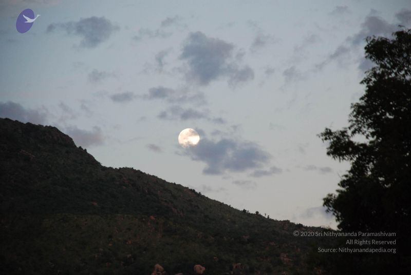 File:20081019 Photo 1119 1QNi-MEIEClQUU0YcC-teVaBKAxejDmG8.JPG