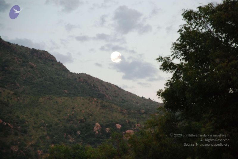 File:20081019 Photo 1121 1eoJdn1XV24AlAbjYRh5KfjVucQml4j6n.JPG