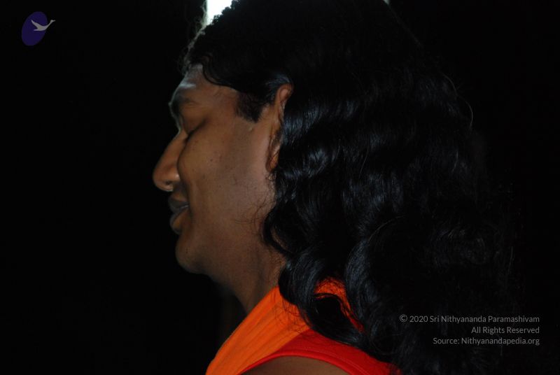 File:20081019 Photo 1148 1c8Ep82aa82Q0pE3f-4IgTU1Siet7oXw1.JPG