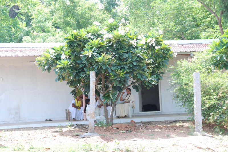 File:20081019 Photo 1251 1rEoAdWKdxsLvdCWMNXWkJ3Ln5GS2o1ow.JPG