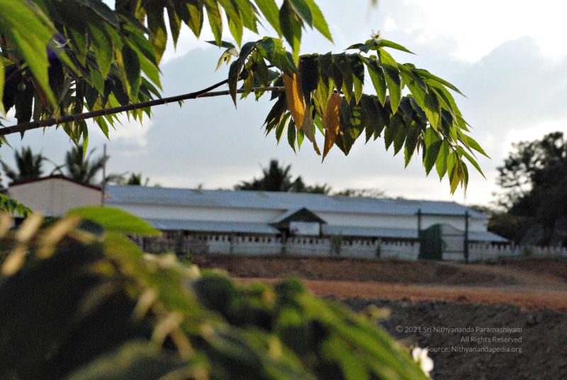 File:20081120 0248.jpg