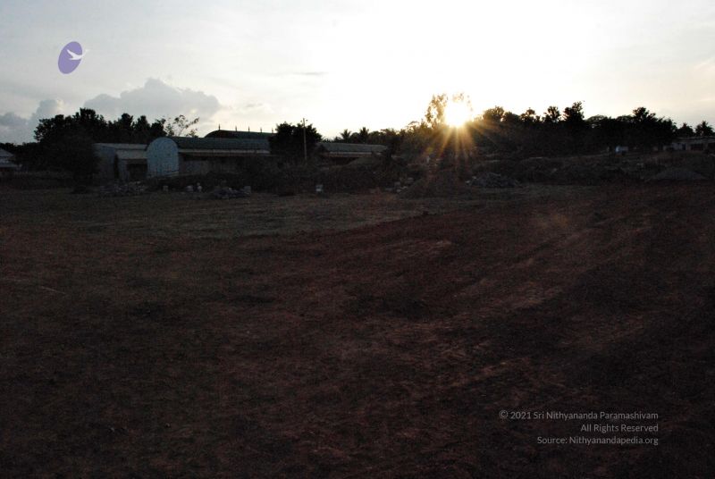 File:20081120 0331.jpg