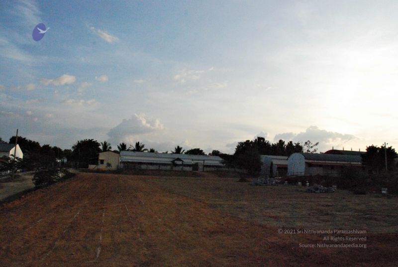 File:20081120 0341.jpg