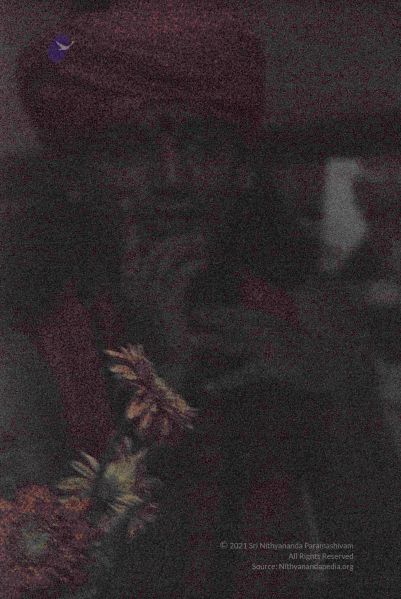 File:20081120 0540.jpg